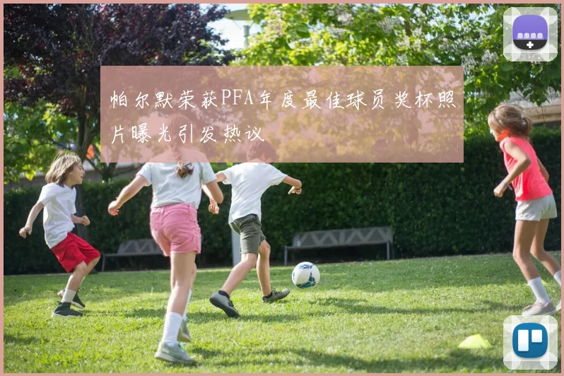 帕尔默荣获PFA年度最佳球员奖杯照片曝光引发热议